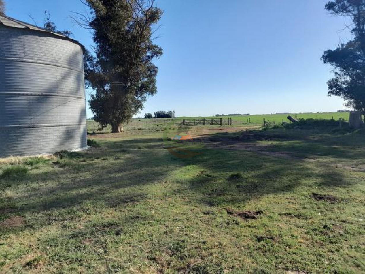 324 Ha Agricolas - San Cayetano