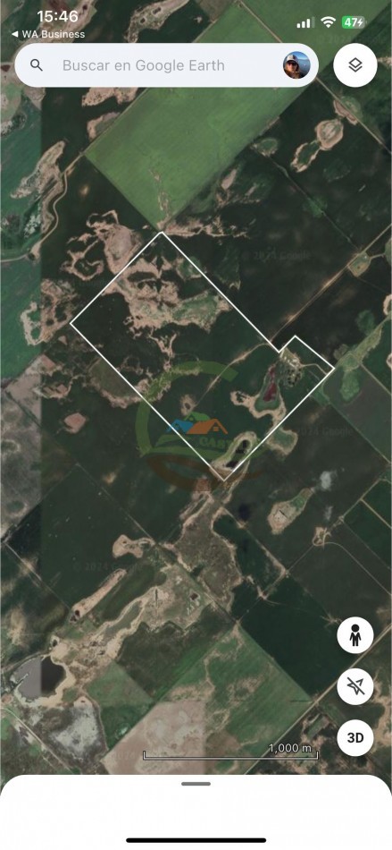 95 Ha Granja de Cerdos - Trenque Lauquen