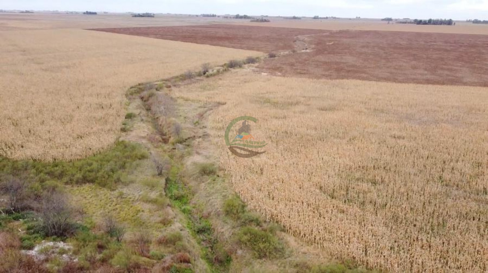 300 Ha Agricolas - Armstrong - Santa Fe