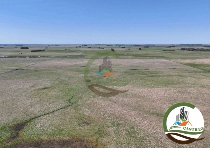 204 ha mixtas - olavarria