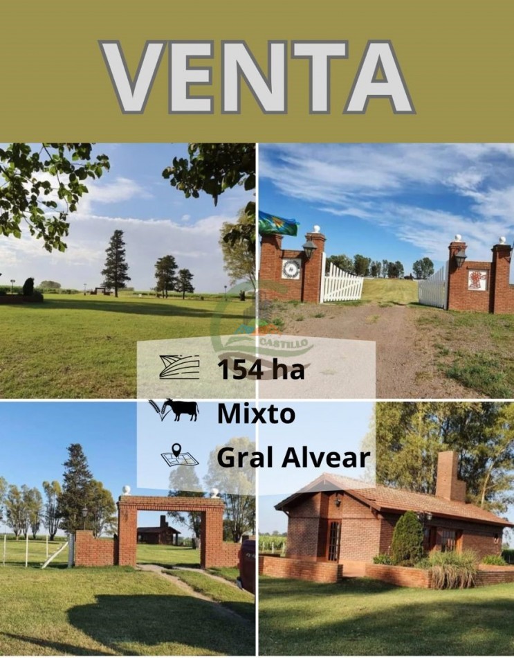 154 ha Mixtas - Gral Alvear