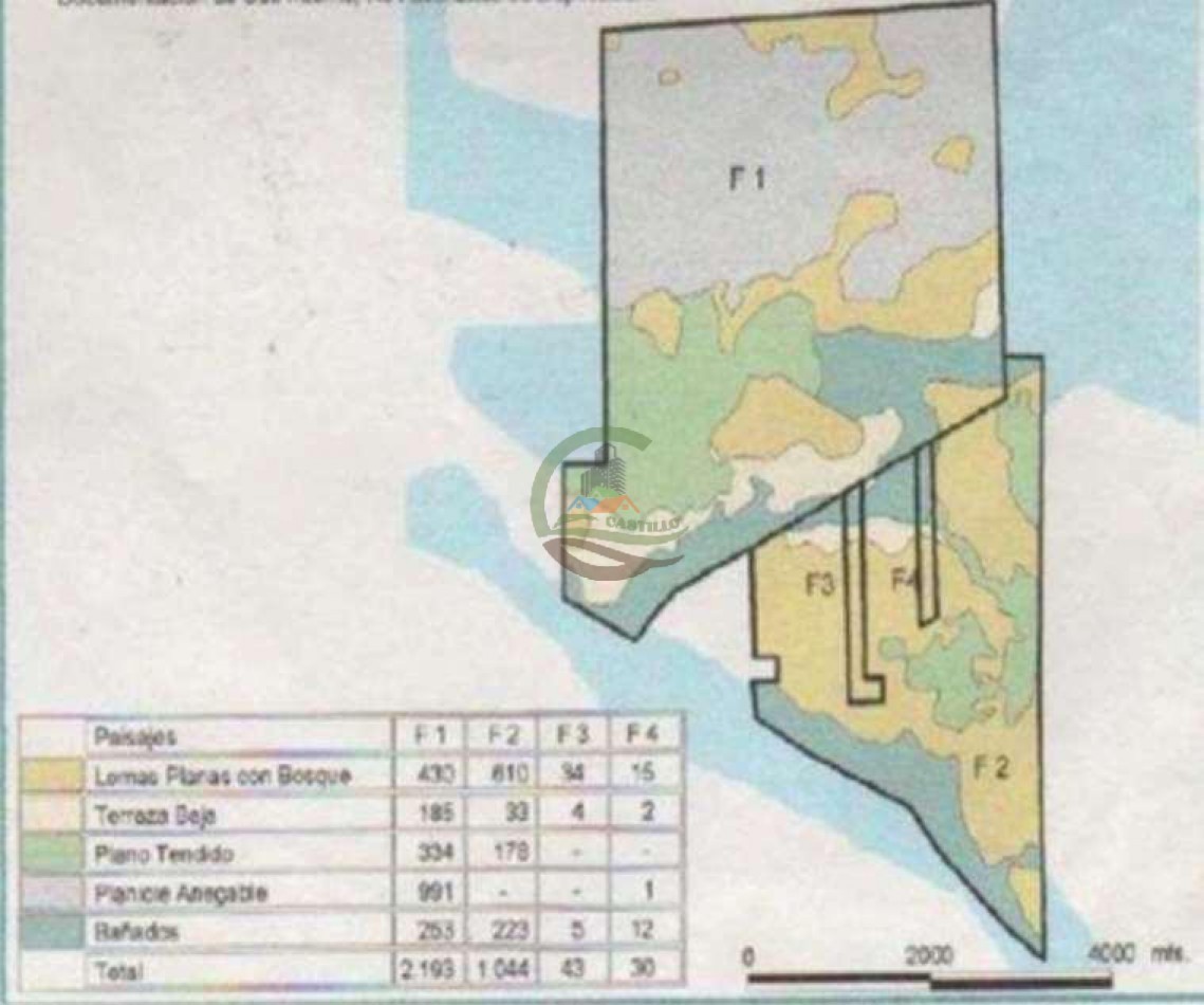 4168 Ha Mixto - San Luis del Palmar - Corrientes