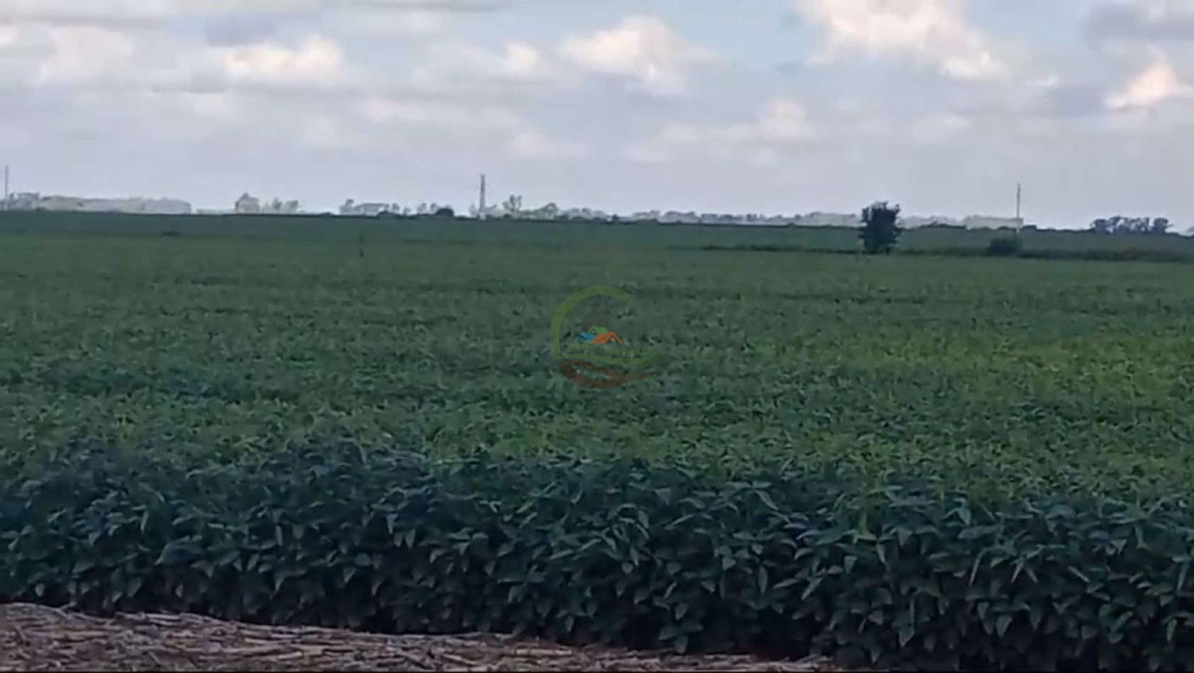 200 ha Agricolas - Cordoba 