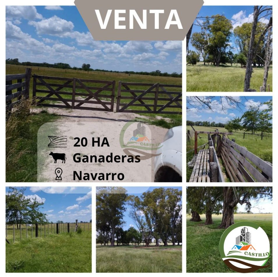 20 ha ganaderas - navarro