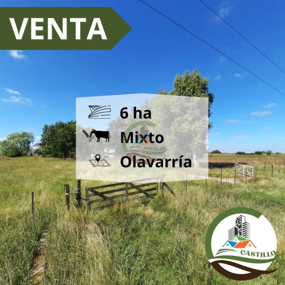 6 ha mixtas - olavarria