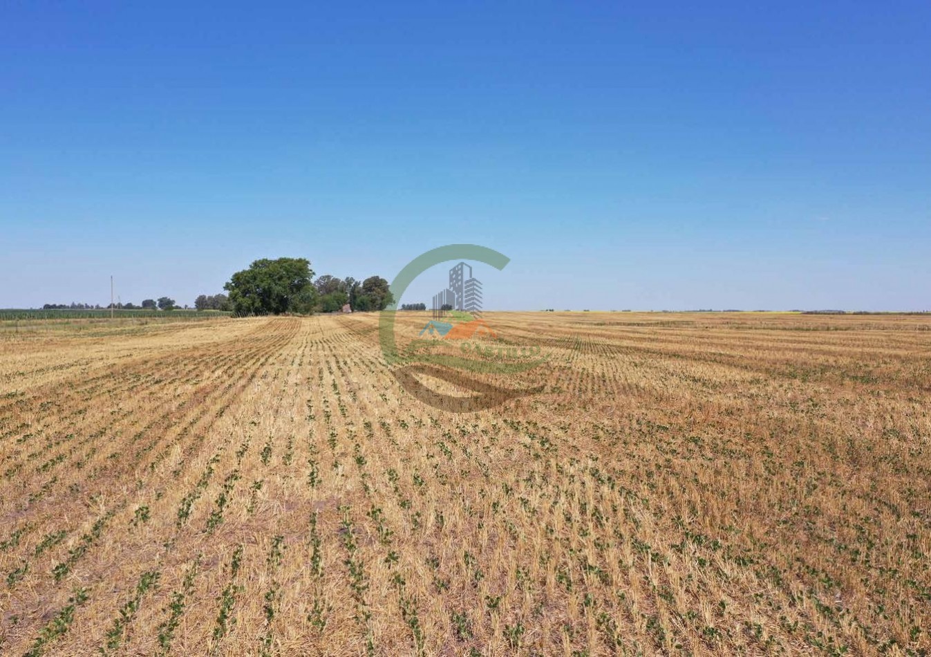 433 ha mixto - Bolivar 