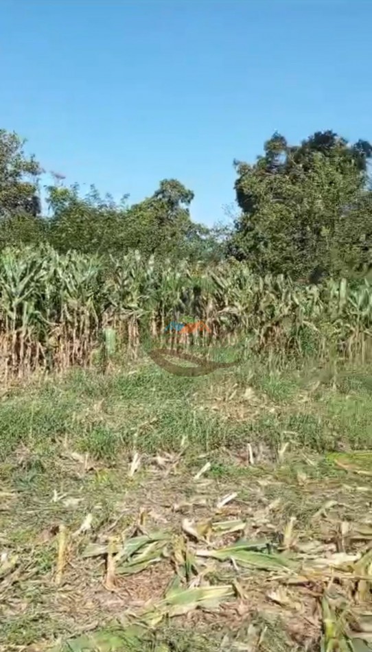 24 ha agricolas - mercedes