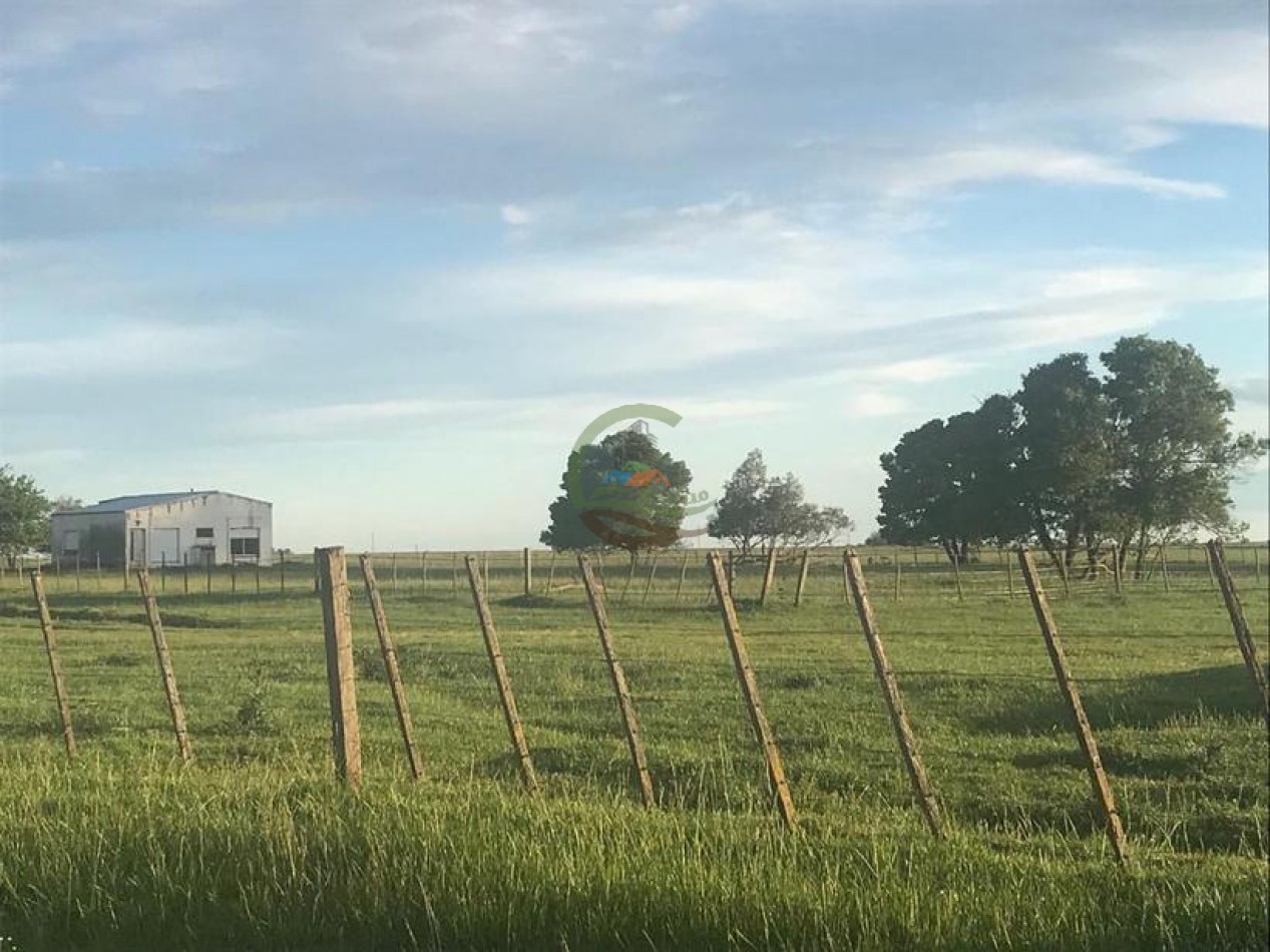 875 Ha Mixto - Carlos Tejedor