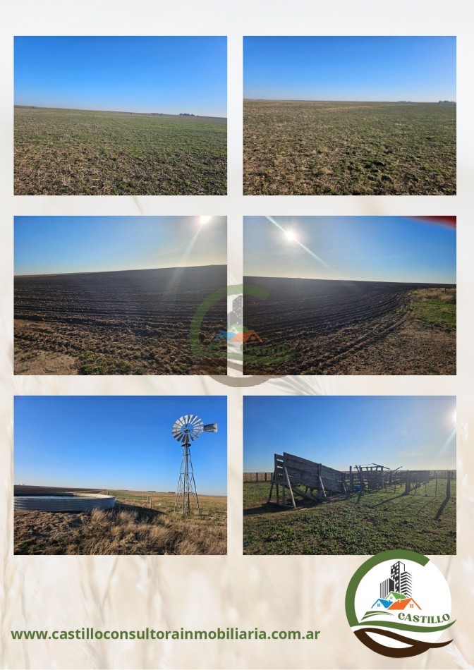 414 ha mixtas - tornquist