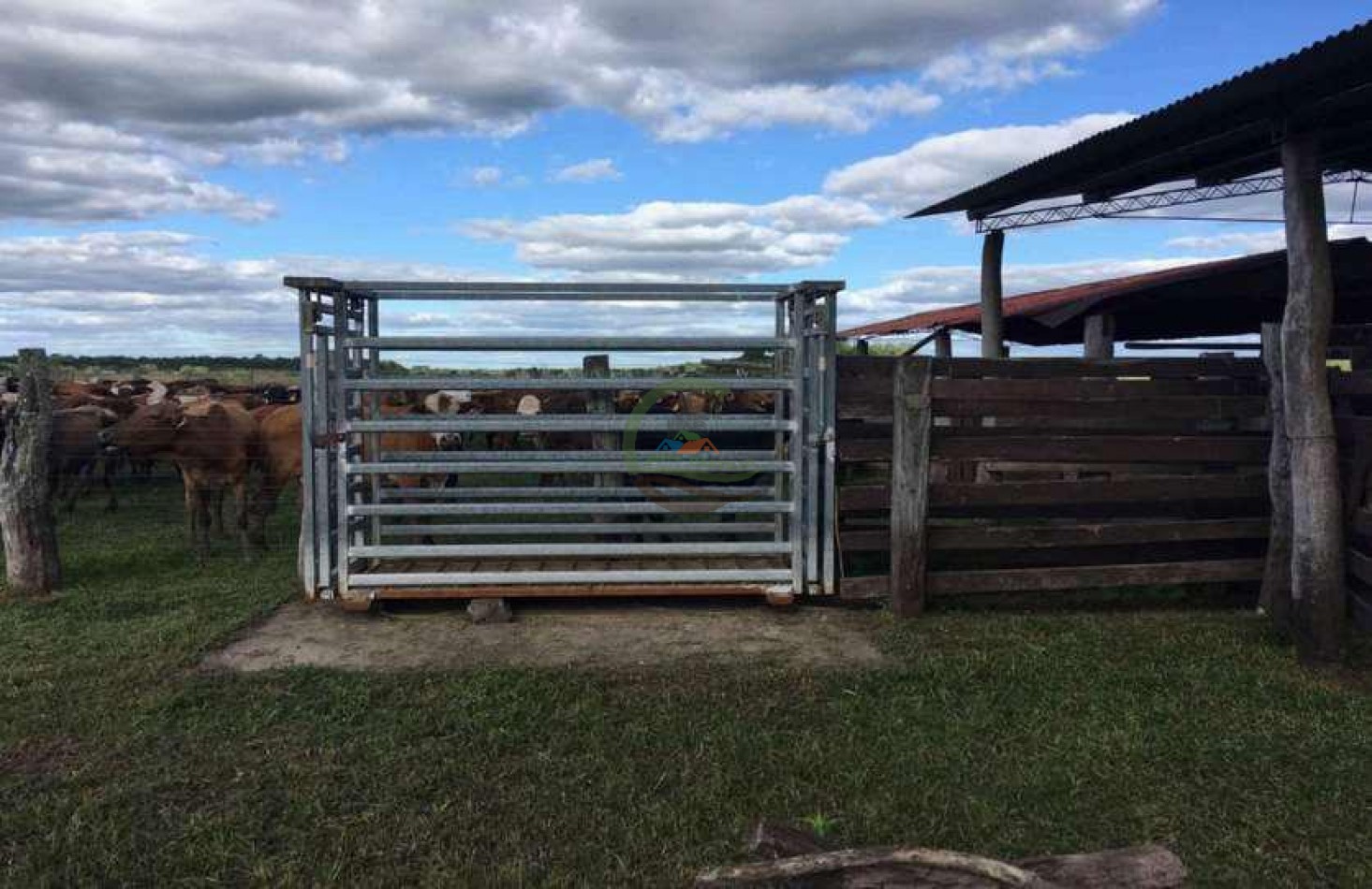 4168 Ha Mixto - San Luis del Palmar - Corrientes