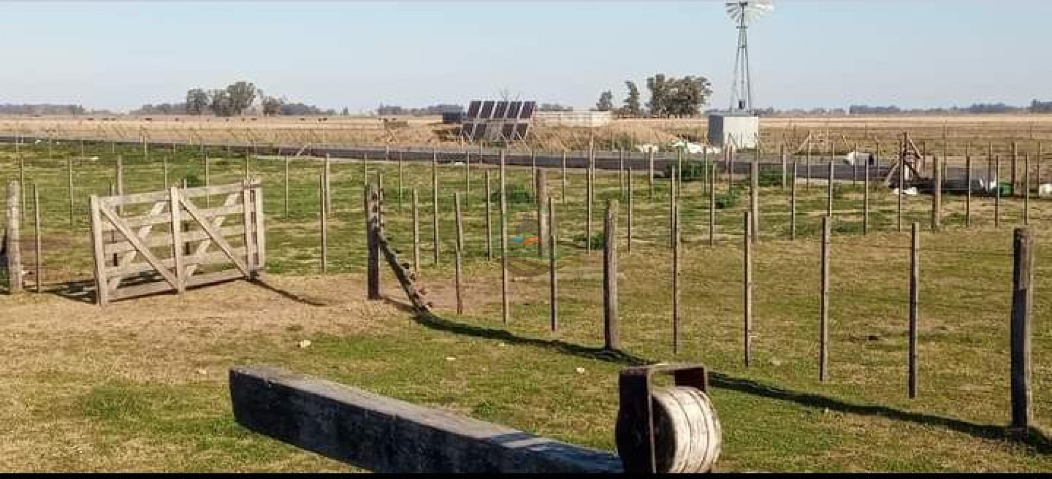 200 ha MIxtas . Tapalque 