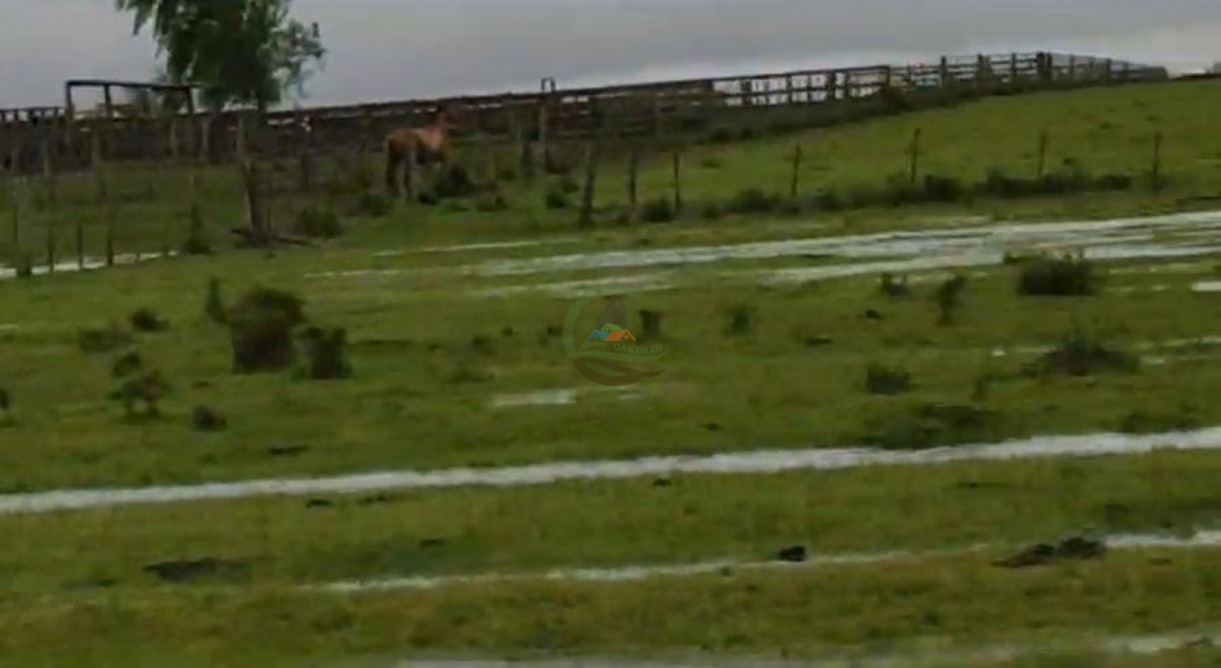 1100 Ha Ganaderas - Tacuarembo - Uruguay 