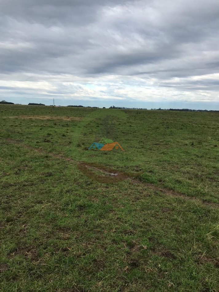 177 ha Mixtas - Pergamino 