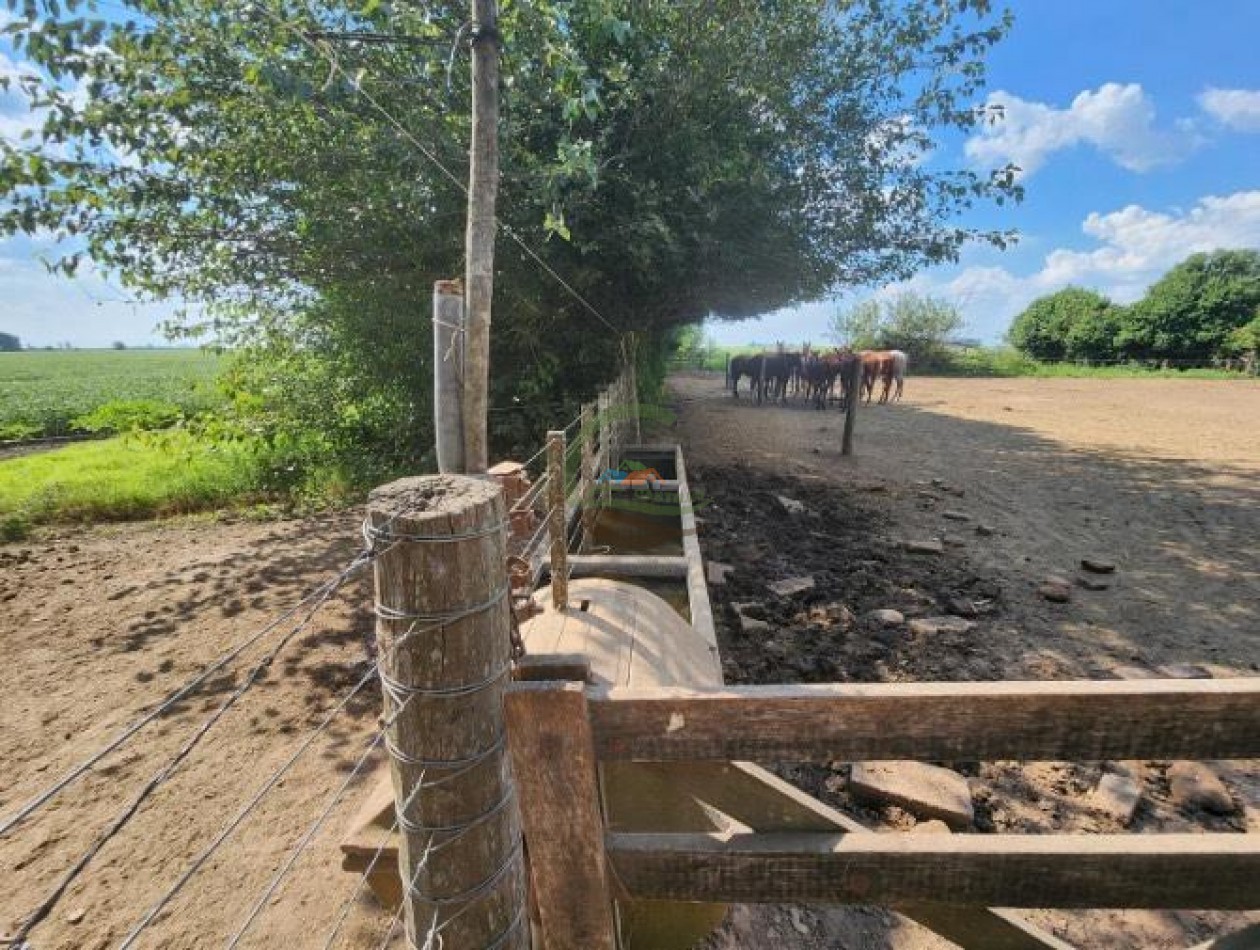 144 Ha Agricolas - Cavanagh - Cordoba 