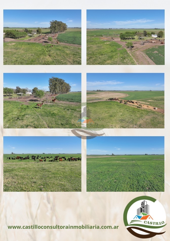 168 ha mixtas - bragado