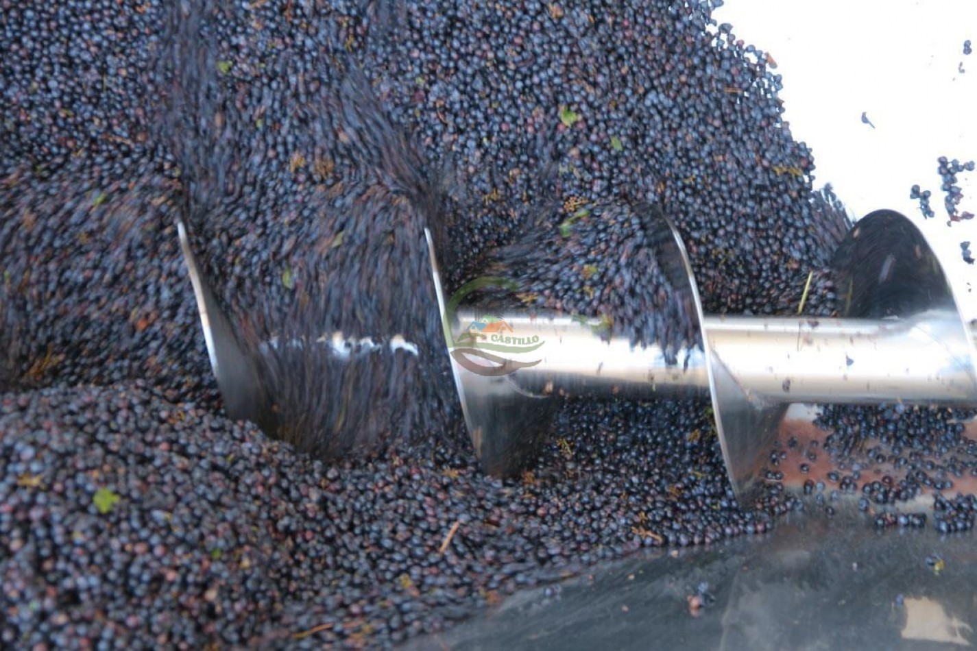 440 ha - Bodega - Mendoza