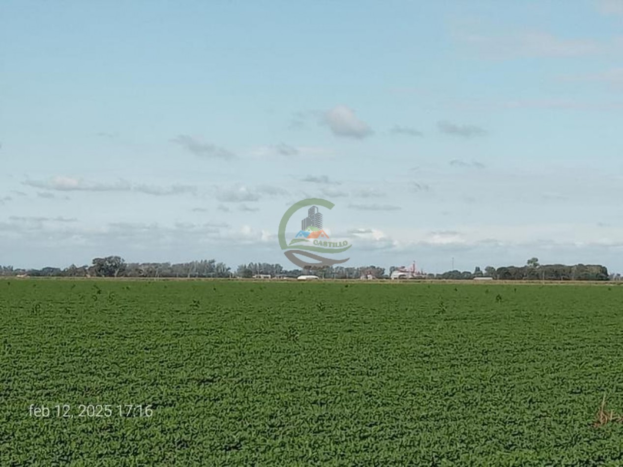 189 Ha Agricolas - Monte Maiz - Cordoba 