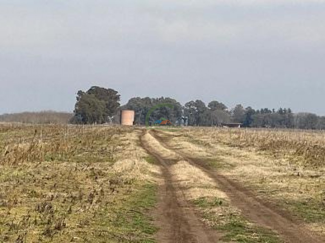552 ha agricolas - gral alvear