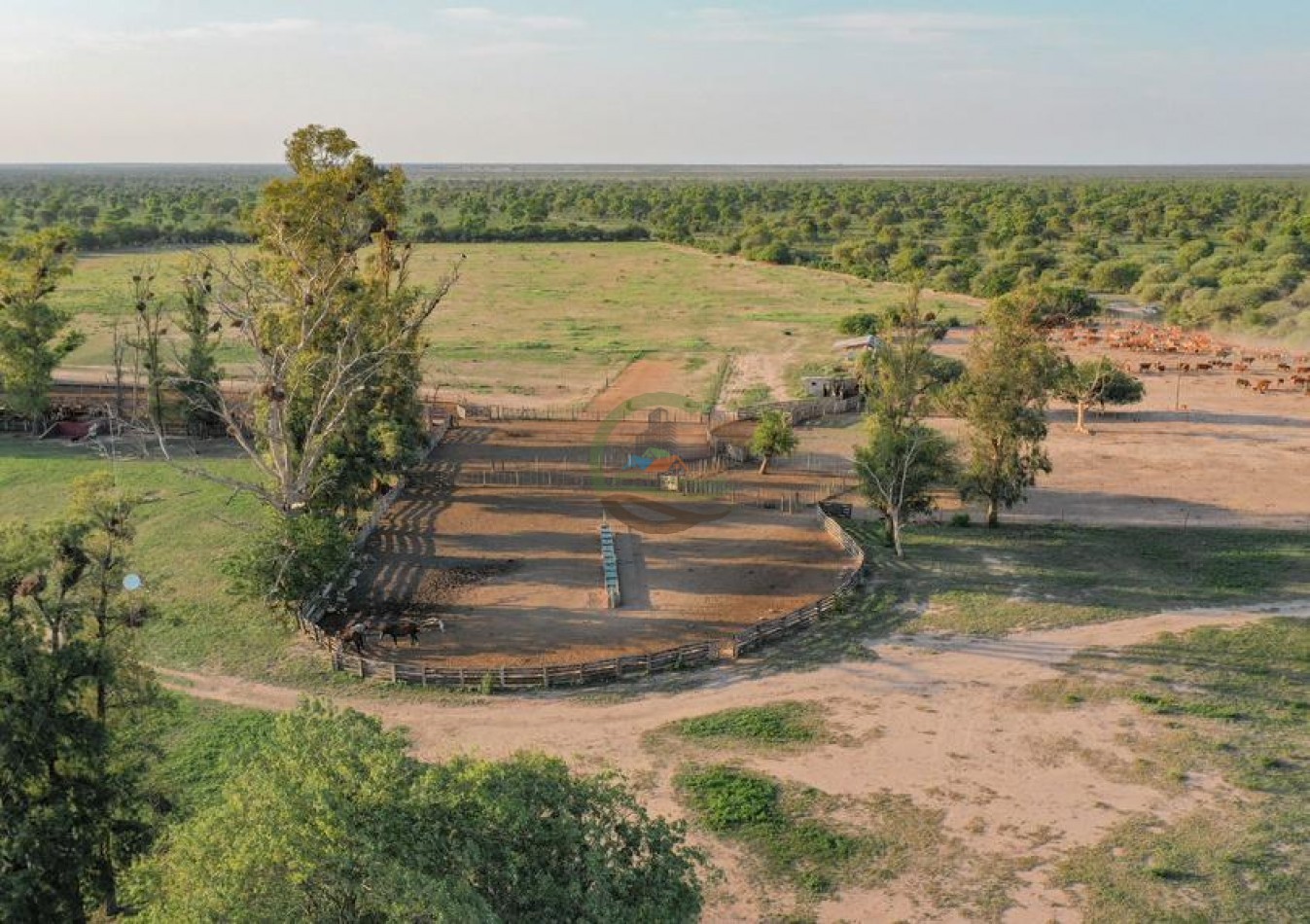 9389 Ha Mixto - Jimenez - Santiago del Estero