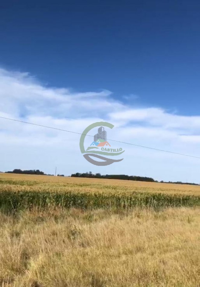 140 Ha Agricolas - Saladillo