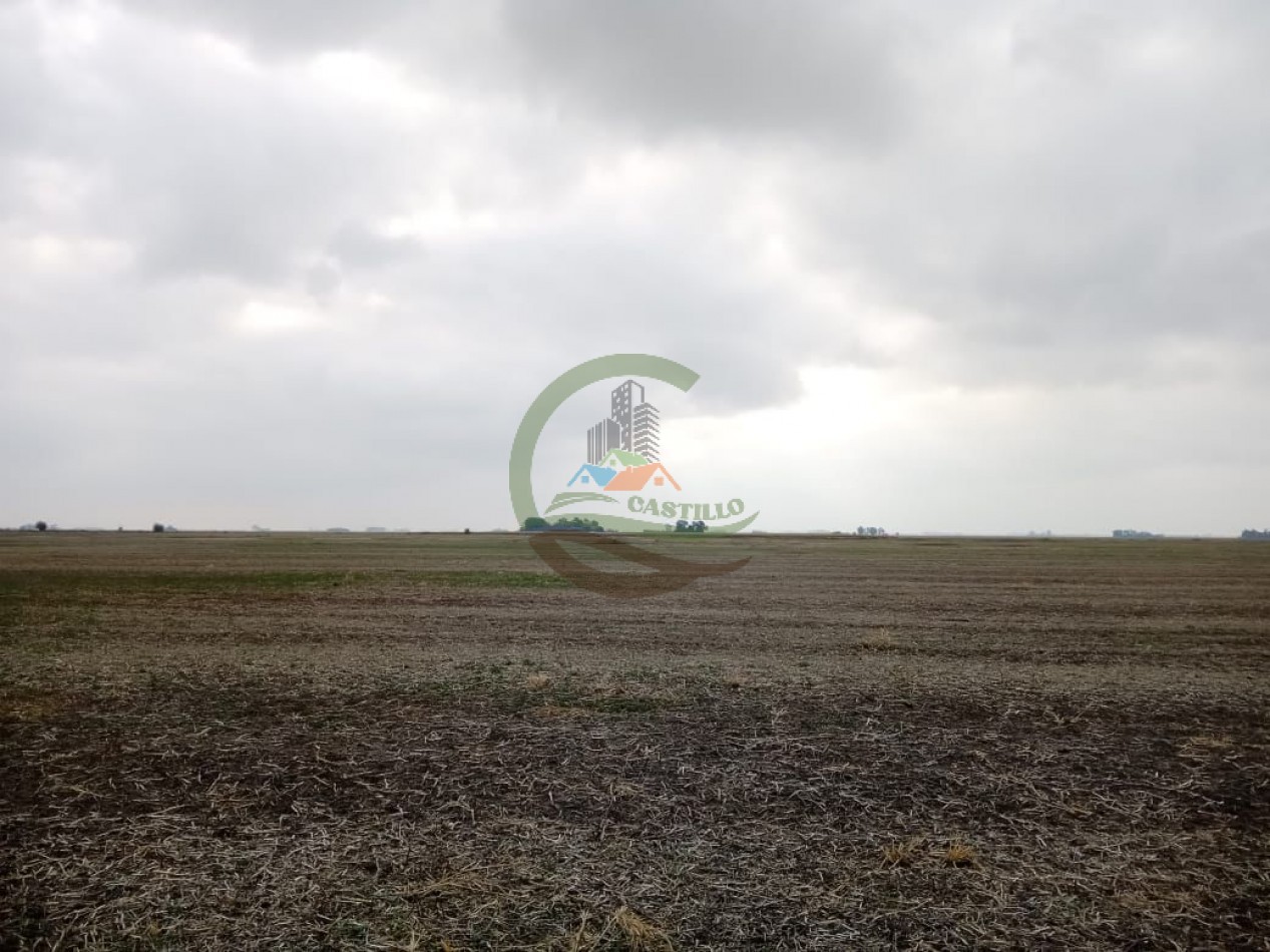 104 ha Agricola - Arequito Sta Fe
