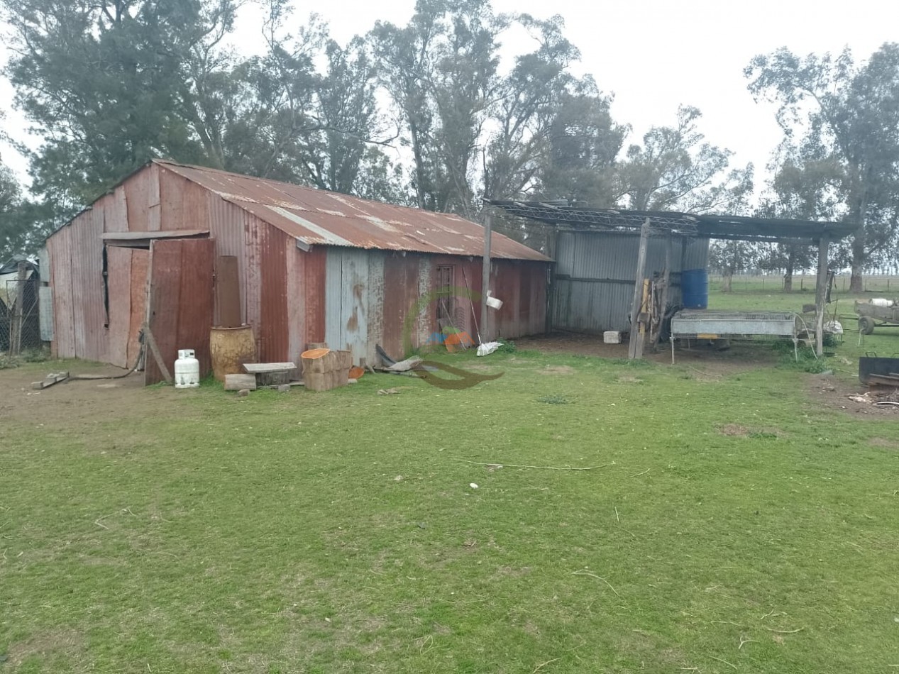 286 ha Ganaderas - Las Flores