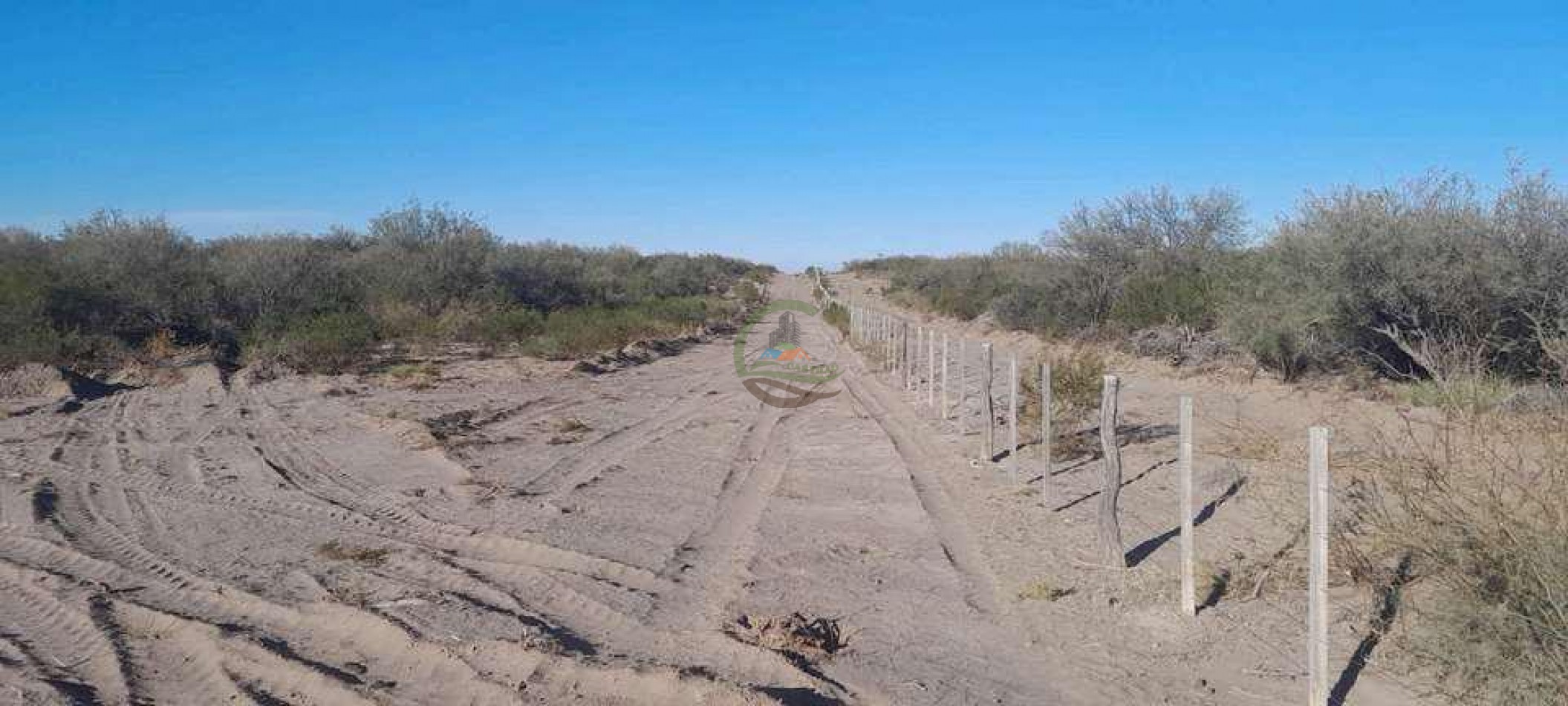 2417 Ha Ganadero (Feedlot) - Gral Alvear - Mendoza
