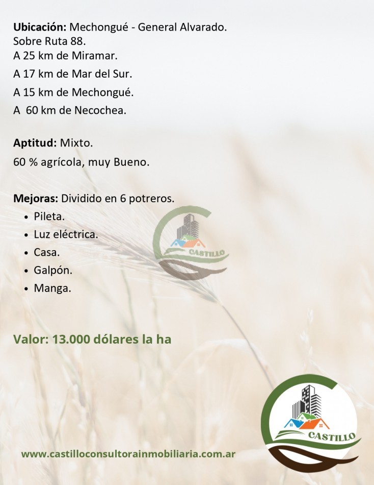 102 ha Mixtas - mechongue