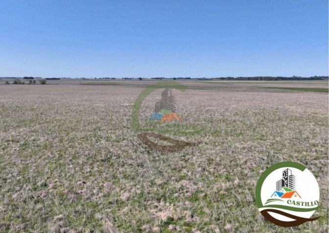 204 ha mixtas - olavarria