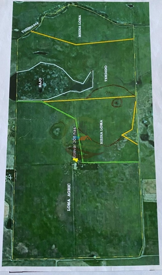 330 Ha Mixto - Bolivar