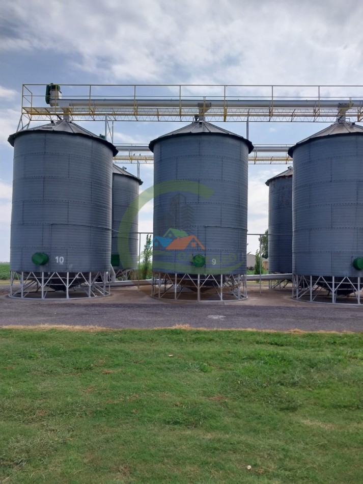 515 ha MIxtas - Pergamino