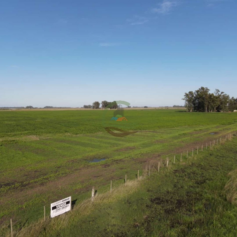 31 ha Agricolas - Saladillo 