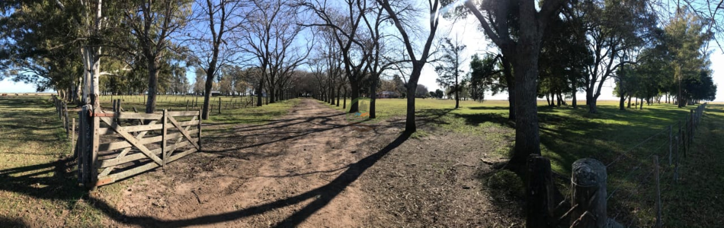 4800 ha MIxtas - Gral Belgrano