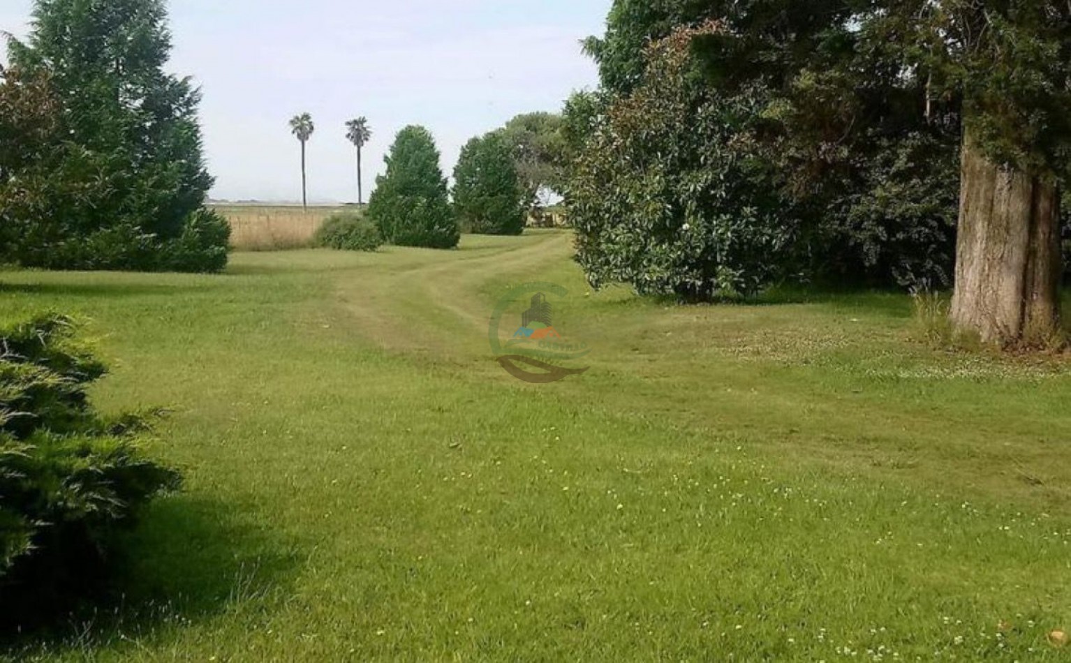 152 Ha Mixtas - Balcarce