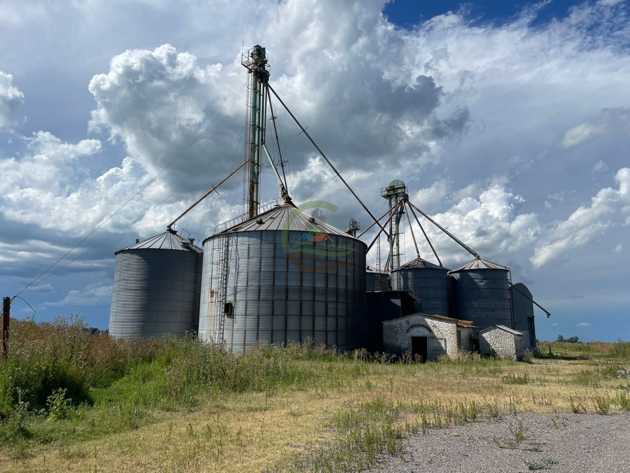 109 ha Feed Lot - Las Flores