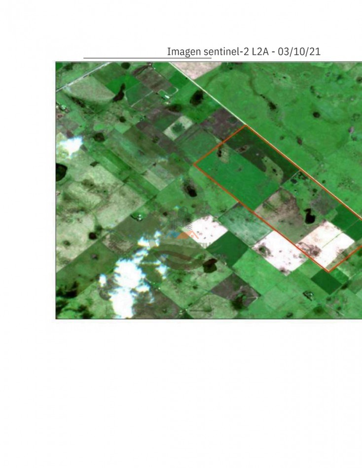 304 ha Mixtas - Olavarria 