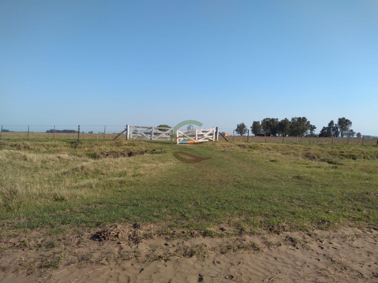 154 ha Mixtas - Gral Alvear