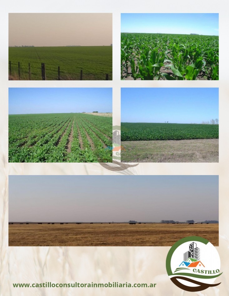 639 ha mixta - sante fe