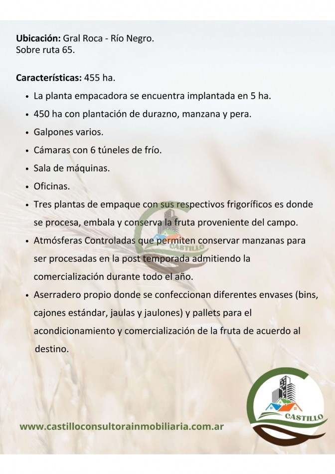 Empacadora de frutas