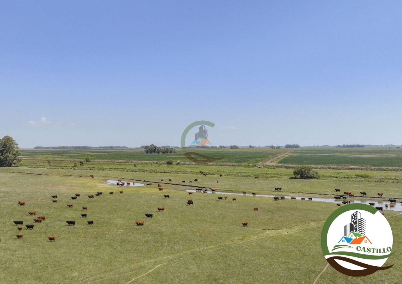 3275 ha ganaderas - general alvear