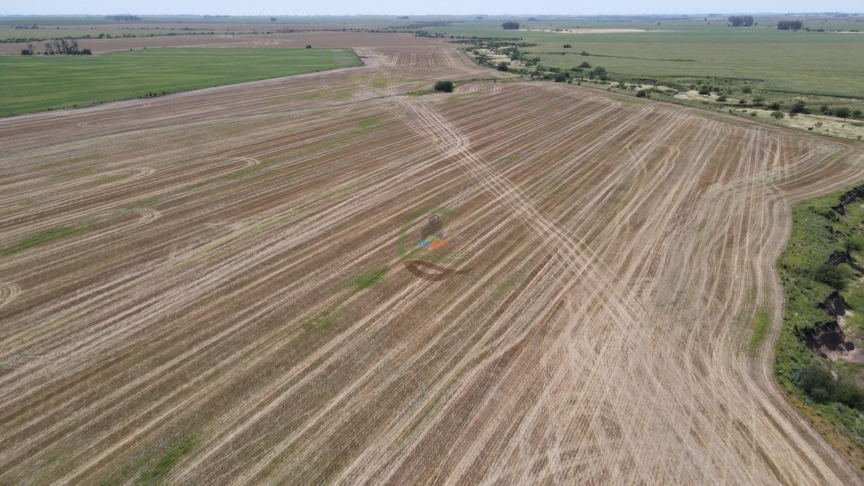 161 Ha Agricolas - Irazusta - Entre Rios