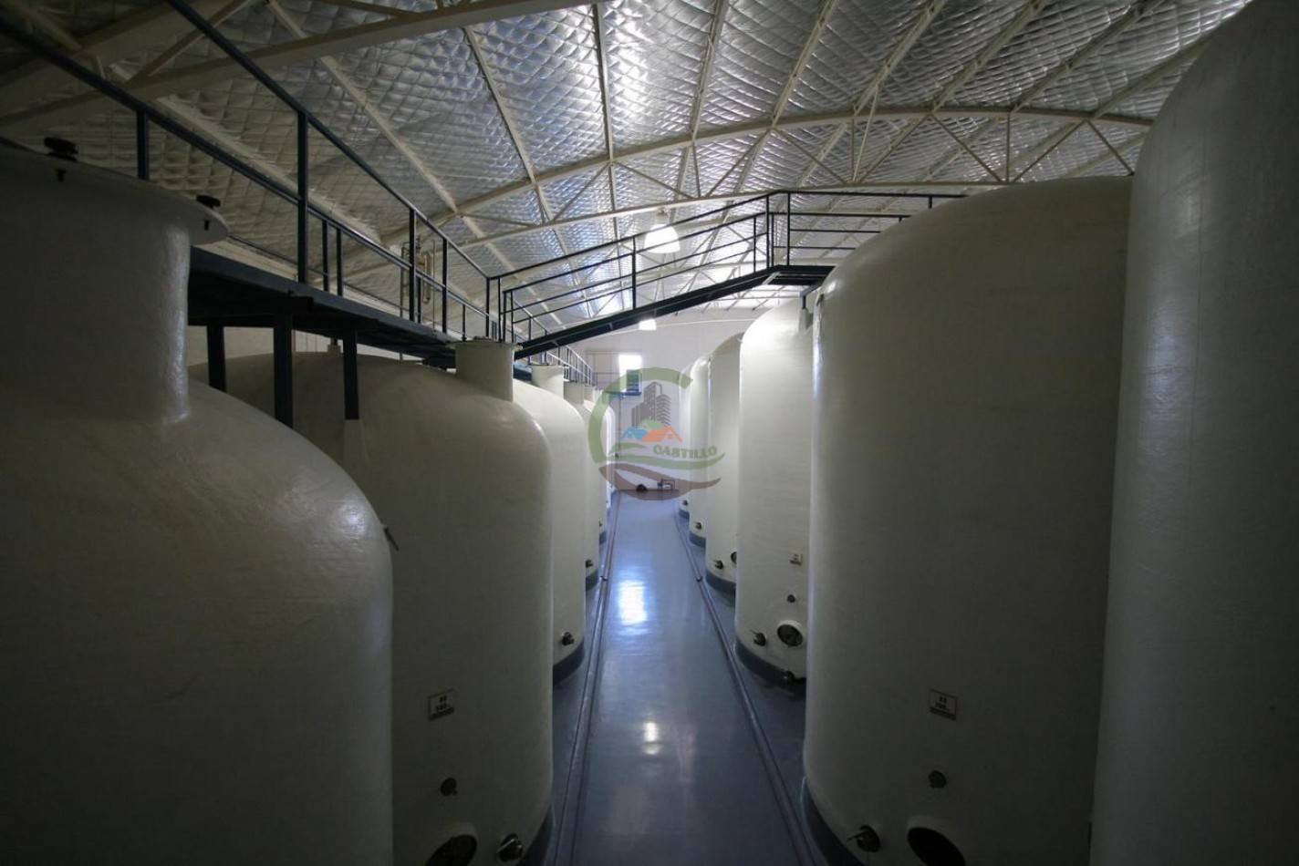 440 ha - Bodega - Mendoza