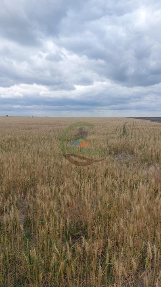 3750 Ha Agricolas - Gato Colorado - Santa Fe