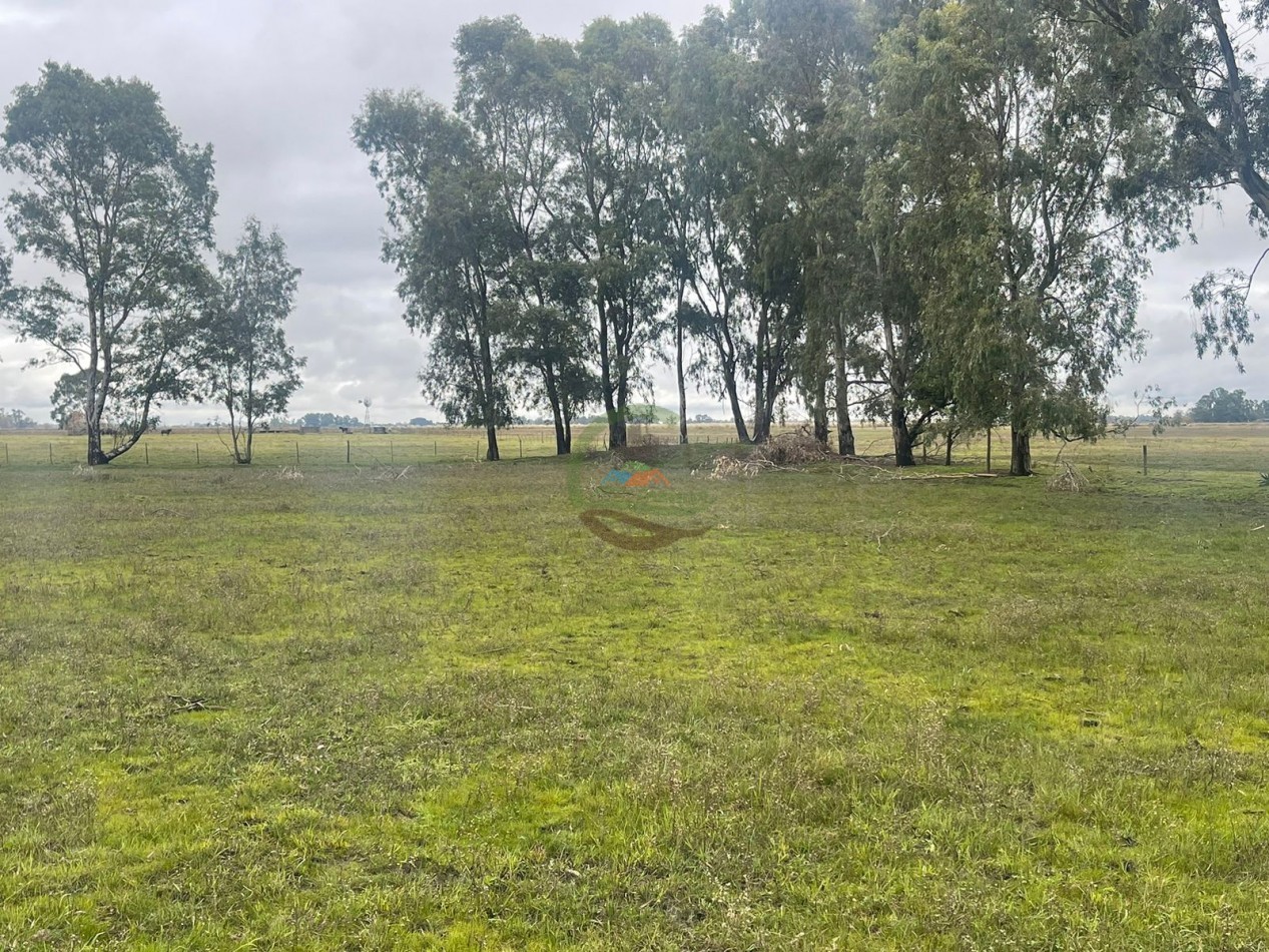47 ha Ganadera - Olavarria