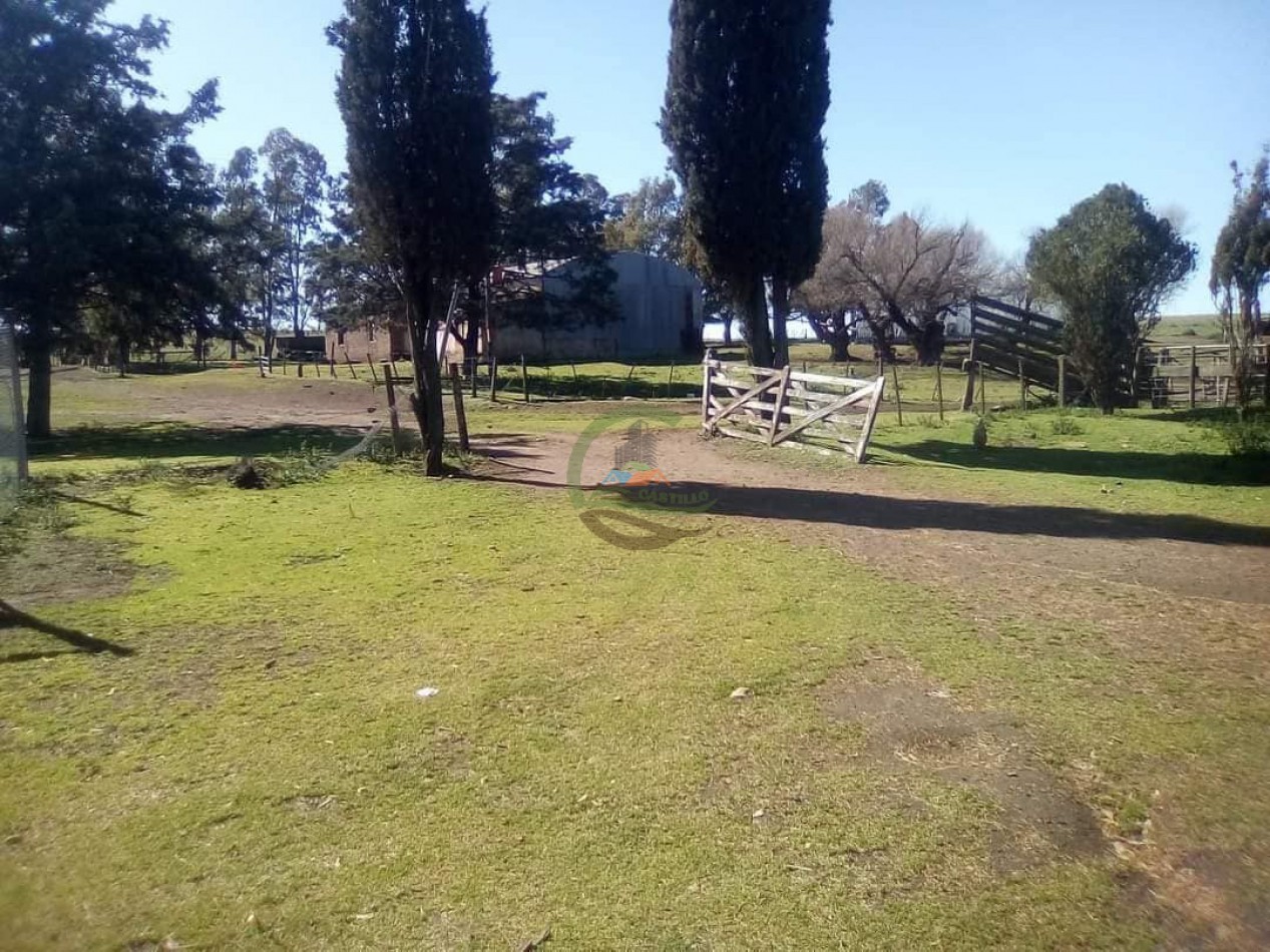 360 ha Mixtas - Tornquist