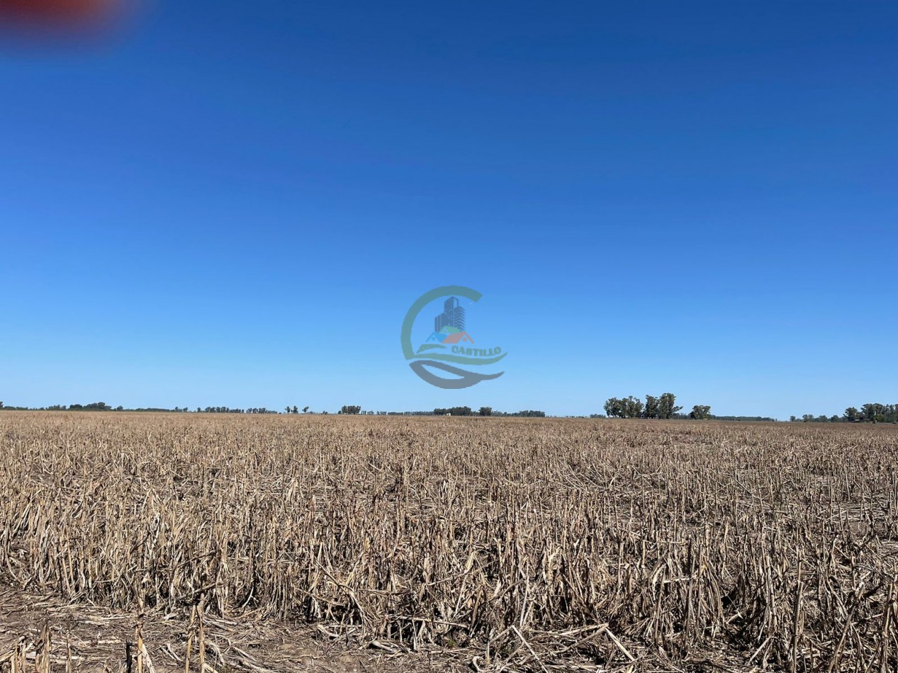 102 ha Agricolas - 25 de Mayo 