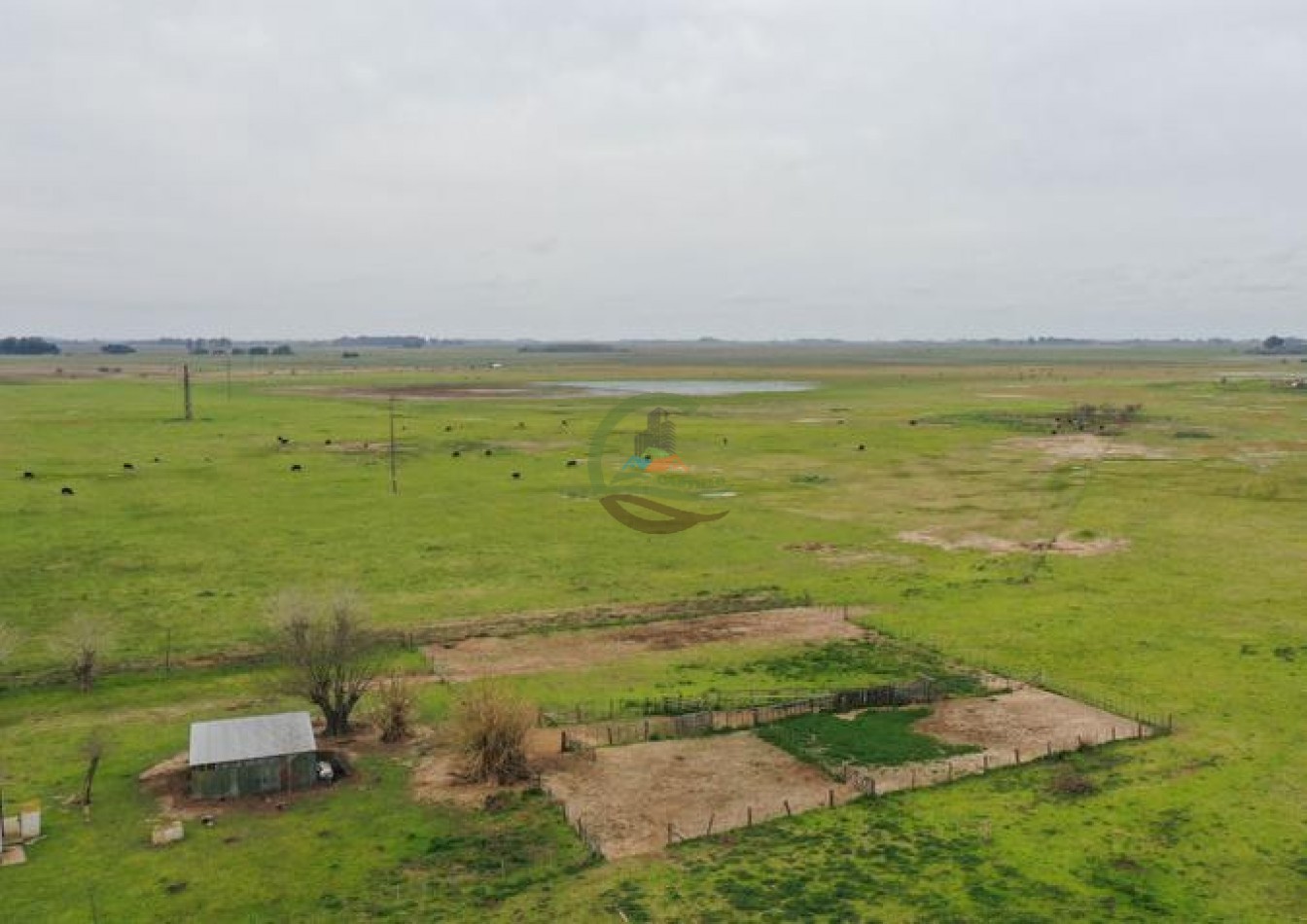 1795 Ha Ganadero - Chascomus