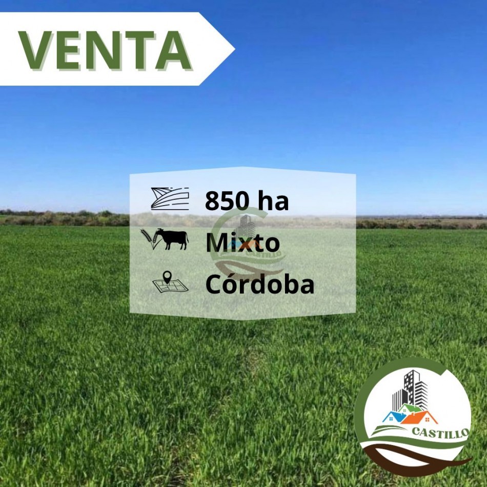 850 ha mixtas - cordoba