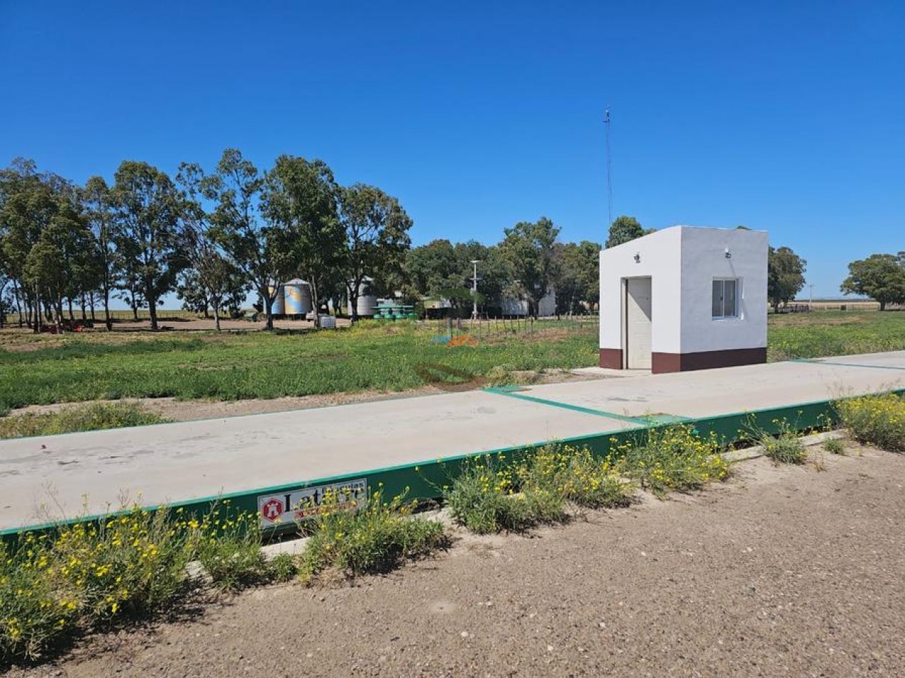 730 Ha Agricolas - Carmen de Patagones