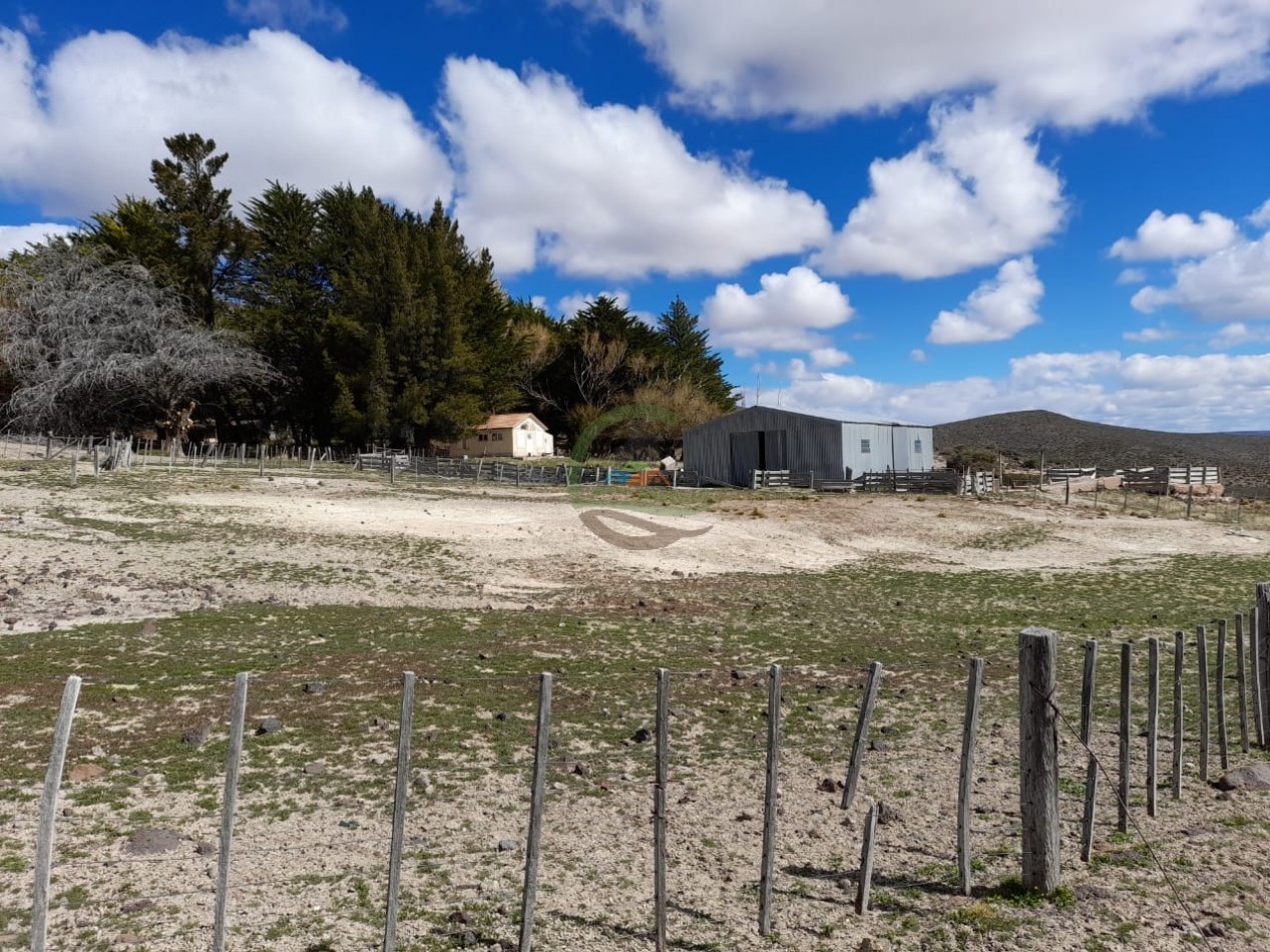 50000 ha Ganadero - Santa Cruz